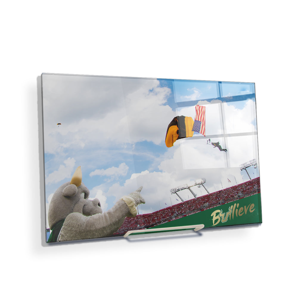USF Bulls - Sky Diver - College Wall Art #Canvas
