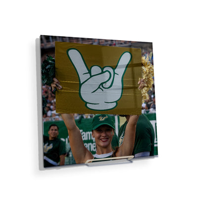 USF Bulls - Horns Up - College Wall Art #Acrylic Mini