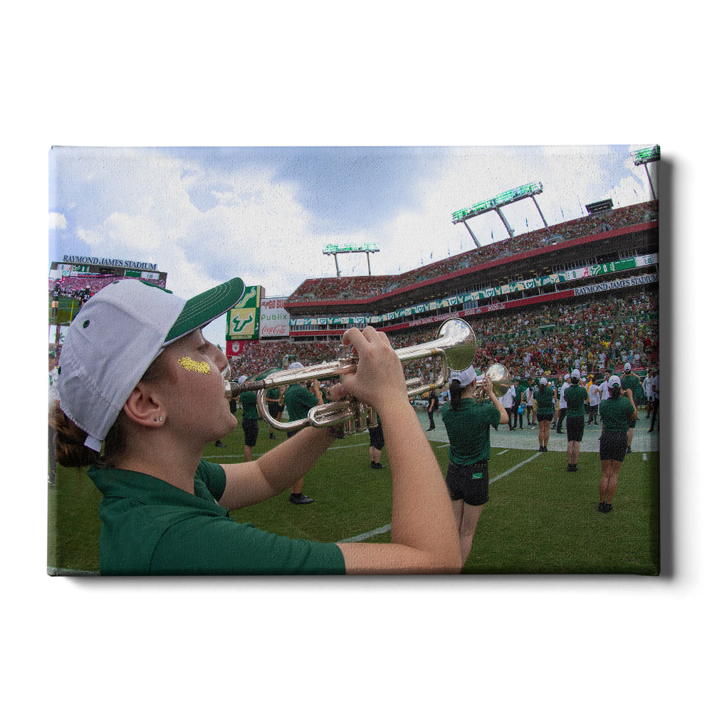 USF Bulls - Herd of Thunder - College Wall Art #Canvas