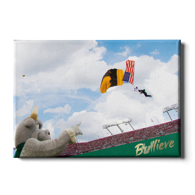 USF Bulls - Sky Diver - College Wall Art #Canvas