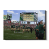 USF Bulls - South Florida Running onto the Field - College Wall Art #Canvas