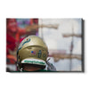 USF Bulls - Come to the Bay - College Wall Art #Canvas