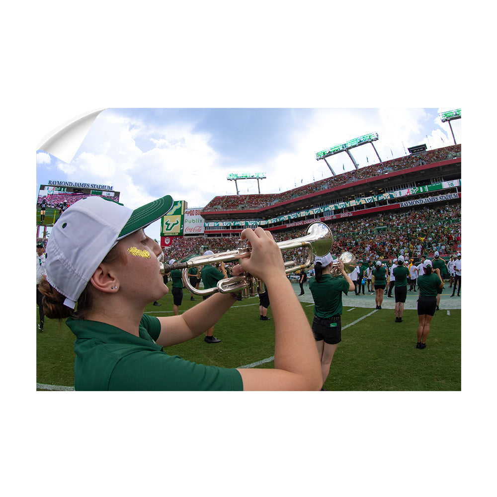 USF Bulls - Herd of Thunder - College Wall Art #Canvas