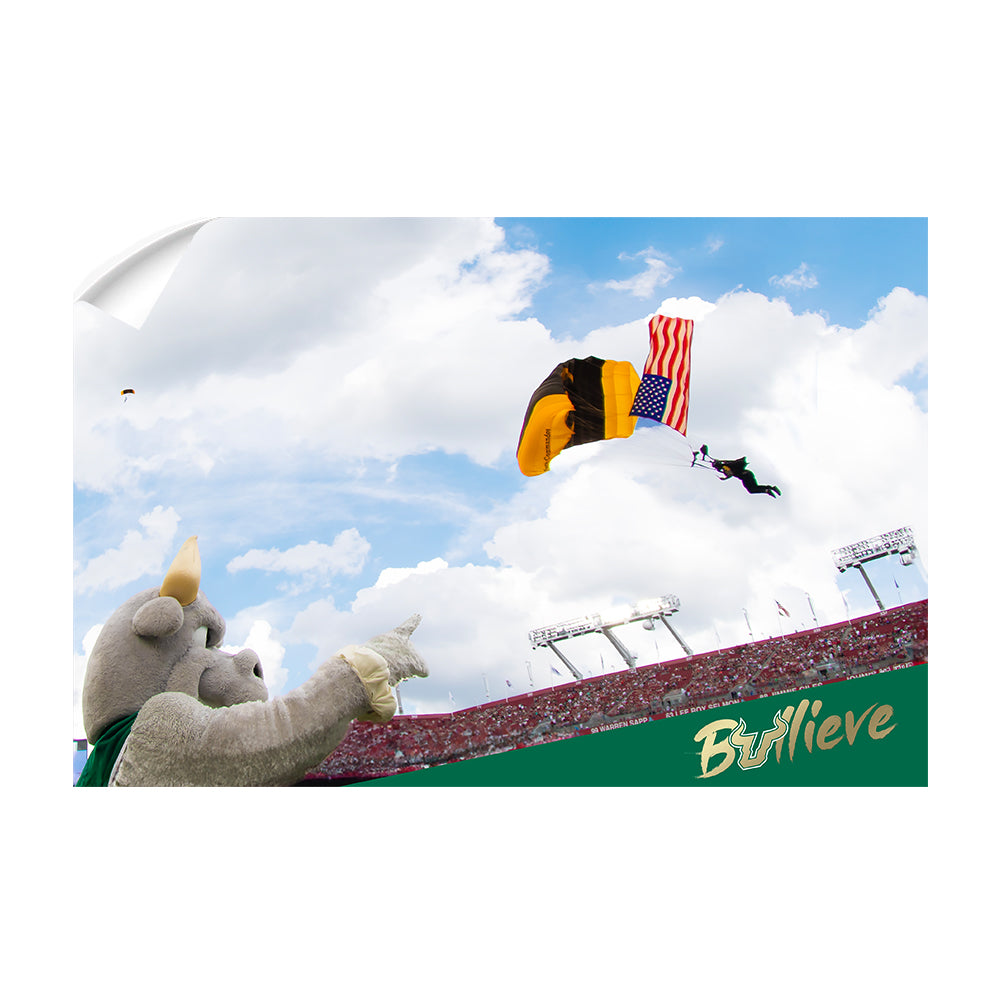 USF Bulls - Sky Diver - College Wall Art #Canvas