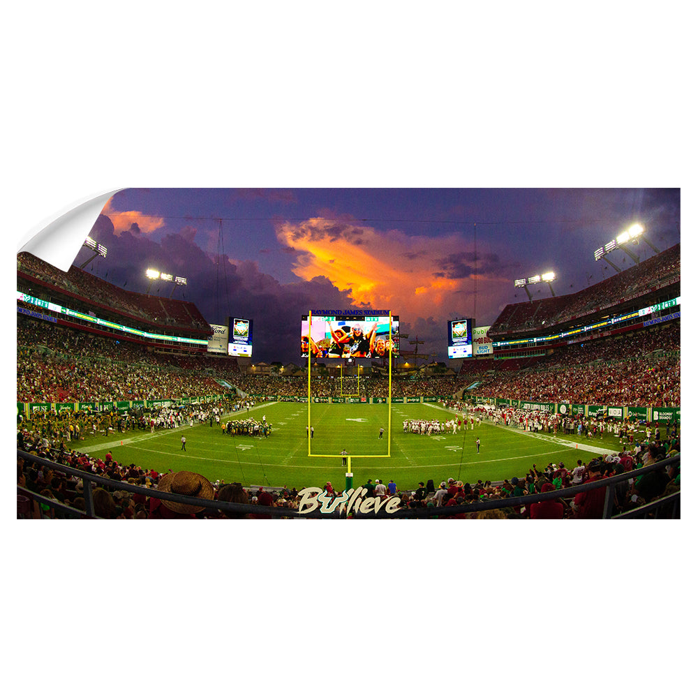 USF Bulls - Bullieve Sunset Panoramic - College Wall Art #Canvas