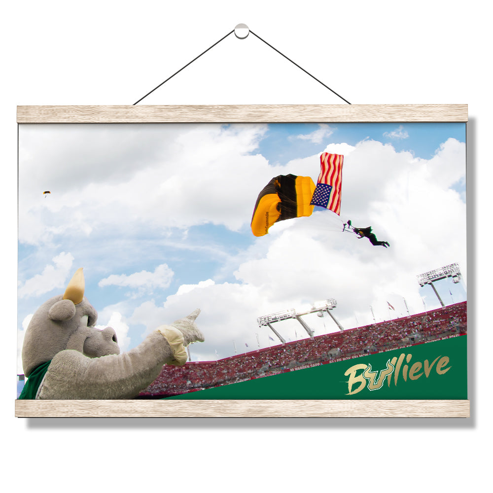 USF Bulls - Sky Diver - College Wall Art #Canvas