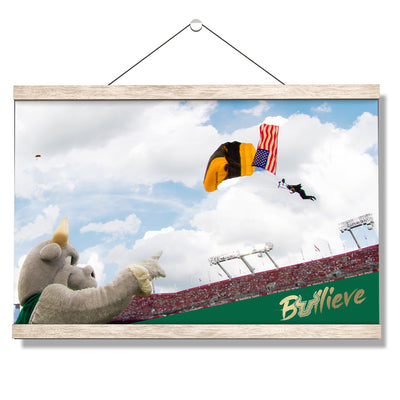 USF Bulls - Sky Diver - College Wall Art #Hanging Canvas