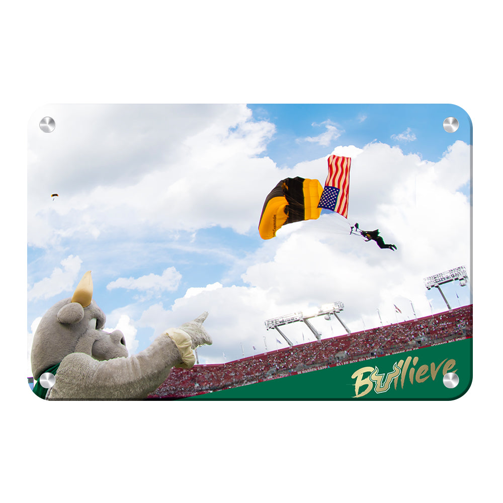 USF Bulls - Sky Diver - College Wall Art #Canvas