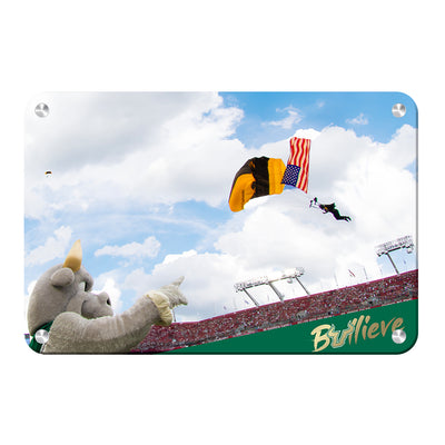 USF Bulls - Sky Diver - College Wall Art #Metal