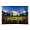 USF Bulls - South Florida Full House - College Wall Art #Poster