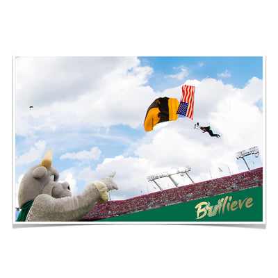 USF Bulls - Sky Diver - College Wall Art #Poster