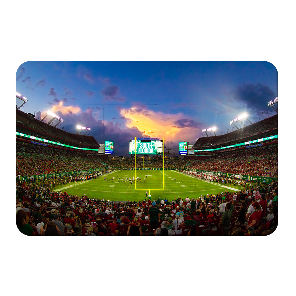 USF Bulls - South Florida Full House - College Wall Art #Canvas