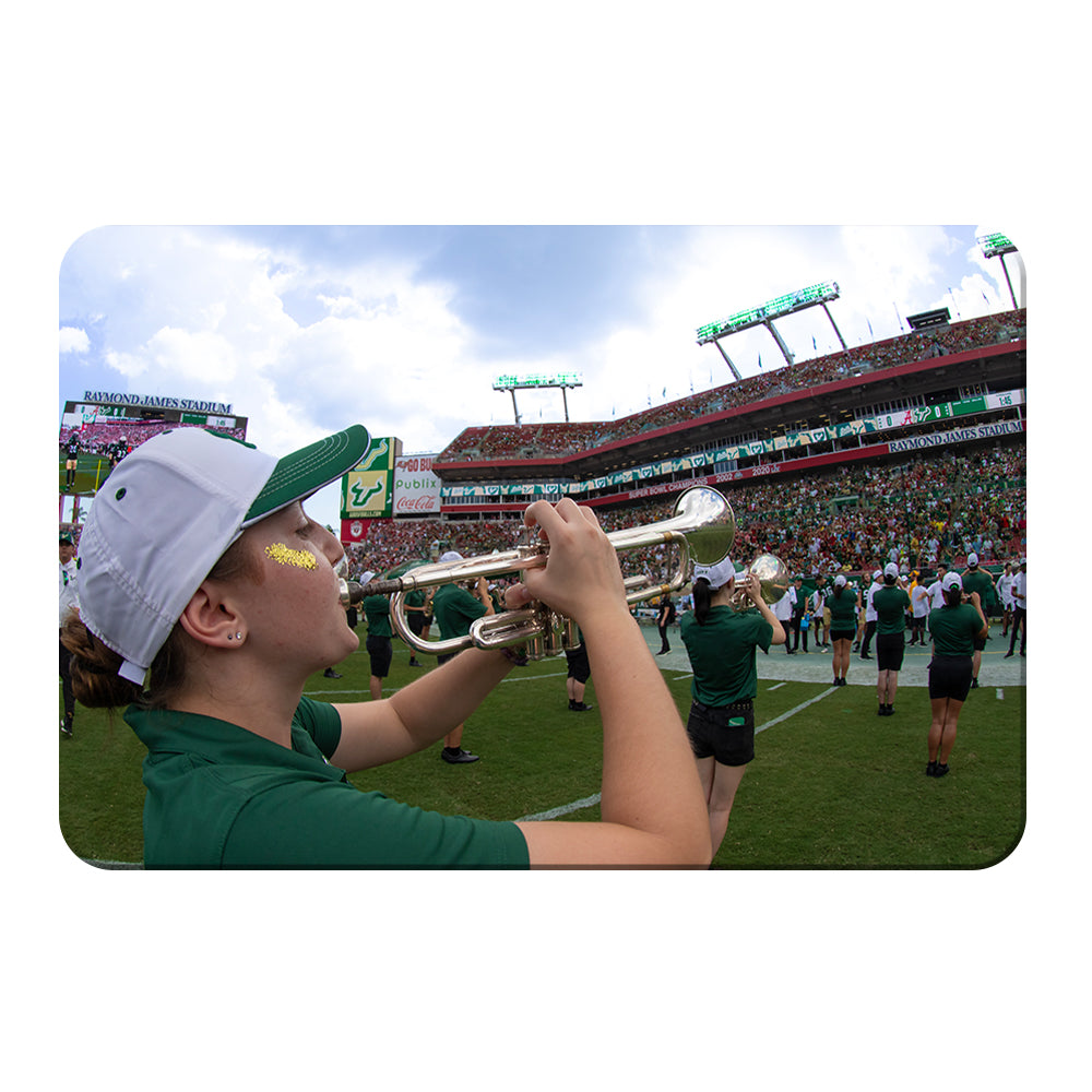 USF Bulls - Herd of Thunder - College Wall Art #Canvas