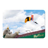 USF Bulls - Sky Diver - College Wall Art #PVC