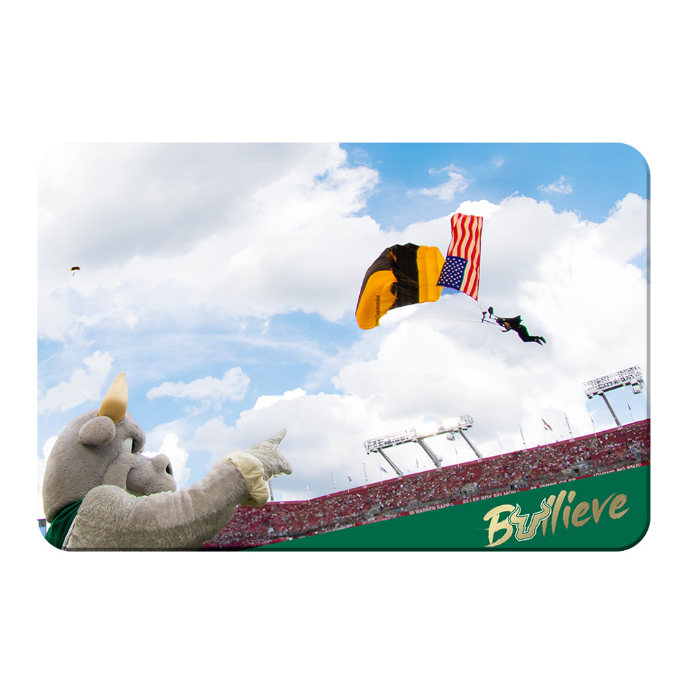 USF Bulls - Sky Diver - College Wall Art #Canvas