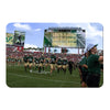 USF Bulls - South Florida Running onto the Field - College Wall Art #PVC