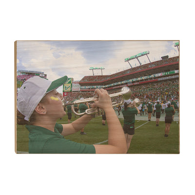 USF Bulls - Herd of Thunder - College Wall Art #Wood