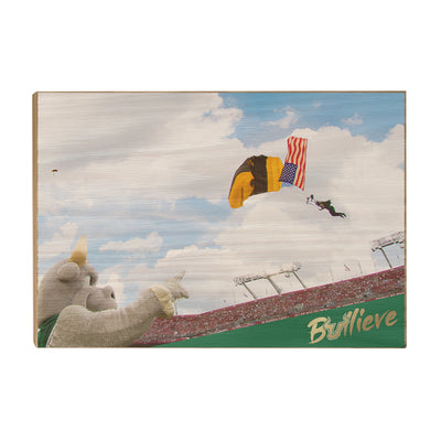 USF Bulls - Sky Diver - College Wall Art #Wood