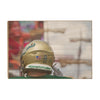 USF Bulls - Come to the Bay - College Wall Art #Wood