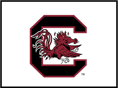 University of South Carolina Gamecocks officially licensed football photo prints
