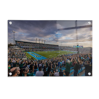 Tulane Green Wave - Yulman Stadium Sunset - College Wall Art #Acrylic