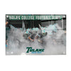 Tulane  Green Wave - NOLANS College Football Team - College Wall Art #Acrylic