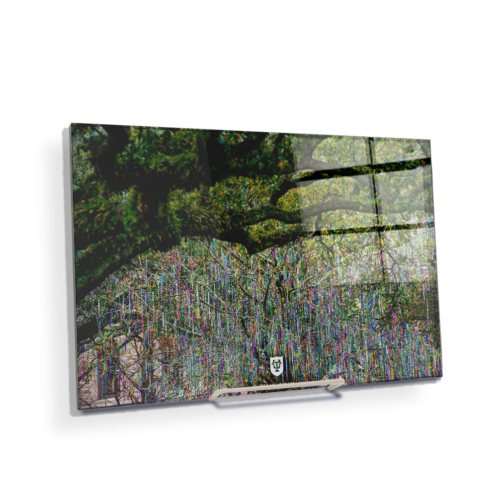 Tulane Green Wave - Bead Tree Under the Oaks - College Wall Art #Canvas 