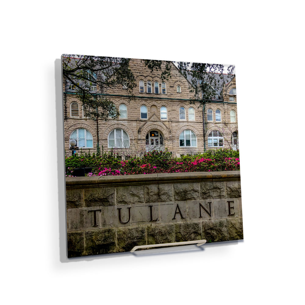 Tulane Green Way - Tulane - College Wall Art #Canvas