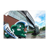 Tulane  Green Wave - Yulman Stadium - College Wall Art #Wall Decal