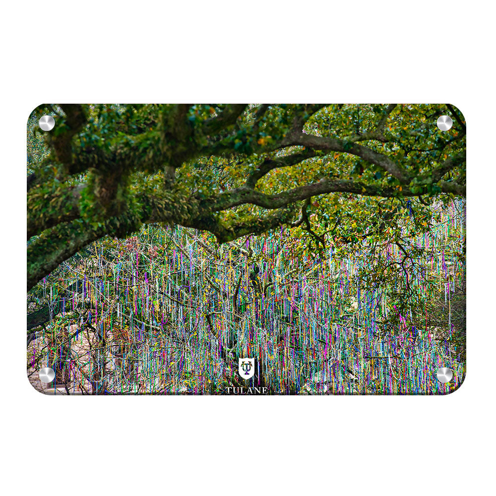 Tulane Green Wave - Bead Tree Under the Oaks - College Wall Art #Canvas 