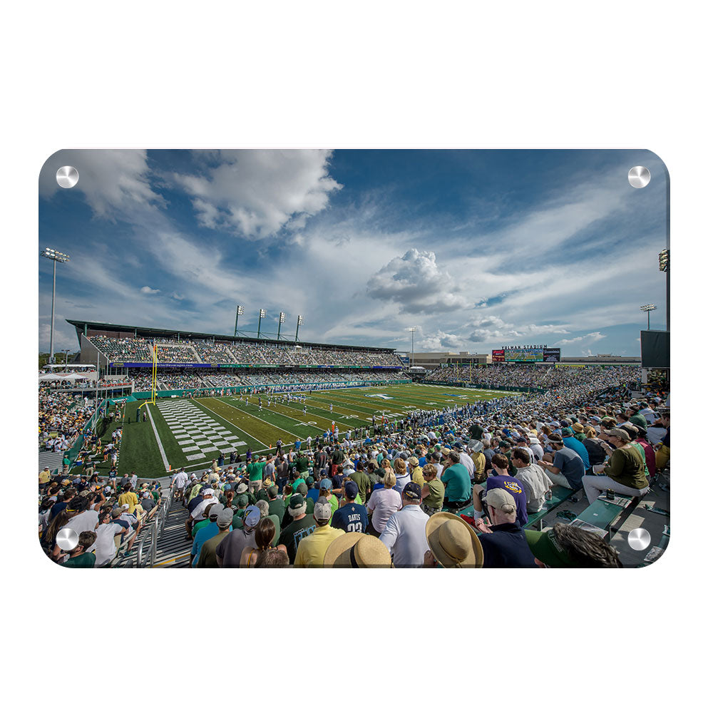 Tulane  Green Wave - Early Yulman - College Wall Art #Canvas