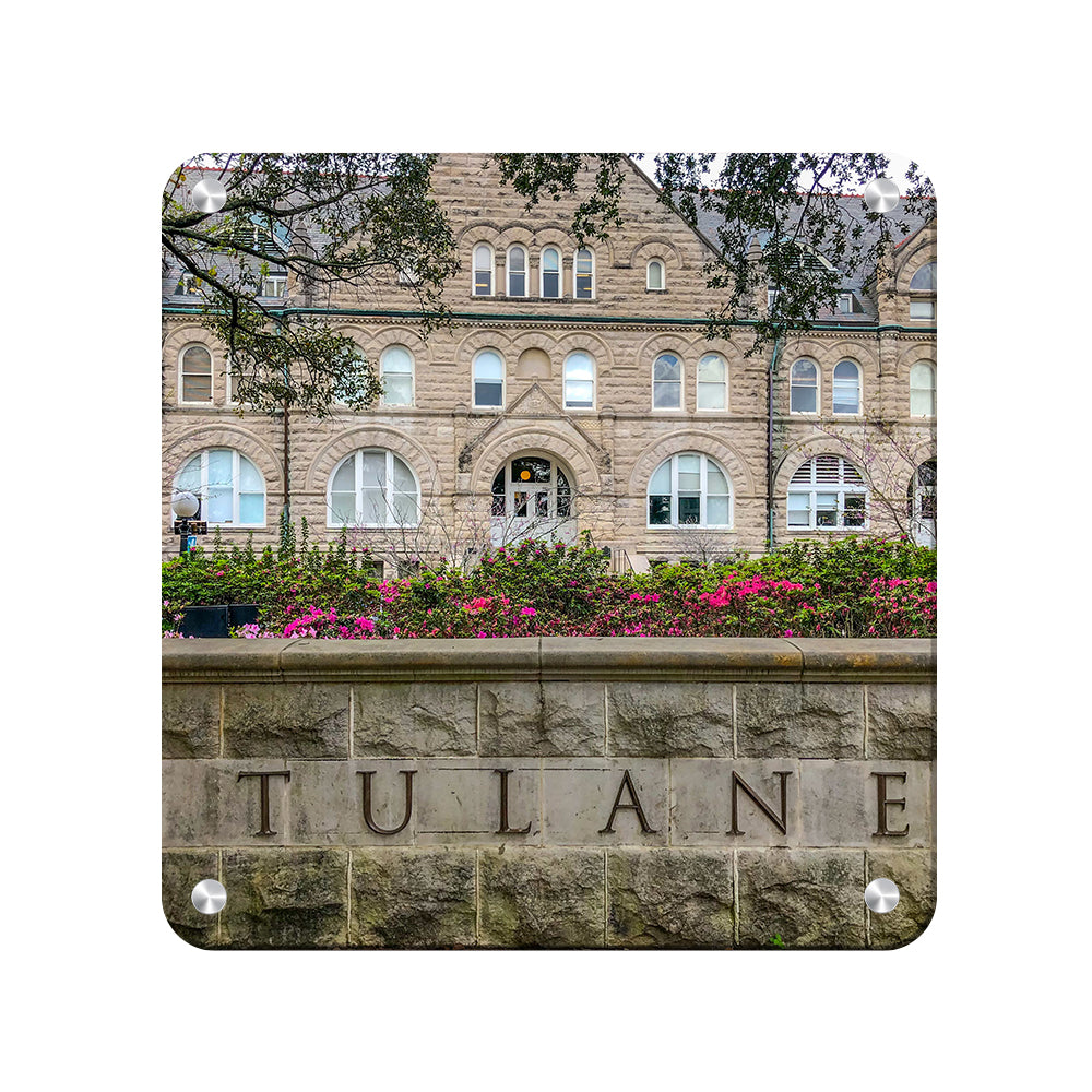 Tulane Green Way - Tulane - College Wall Art #Canvas