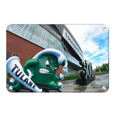 Tulane  Green Wave - Yulman Stadium - College Wall Art #Metal