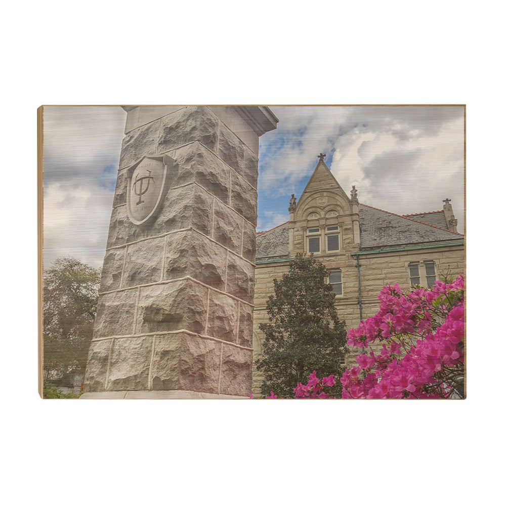 Tulane Green Wave - Campus Azaleas - College Wall Art #Canvas