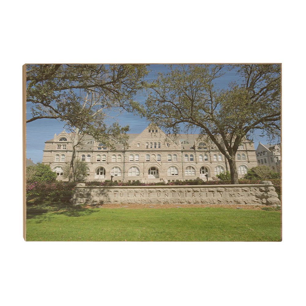 Tulane  Green Wave - Gibson Hall - College Wall Art #Canvas