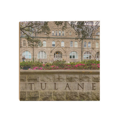 Tulane Green Way - Tulane - College Wall Art #Wood