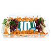 Tulane Green Wave - Yulman Stadium 10 Year Anniversary Logo Decorative Serving Tray