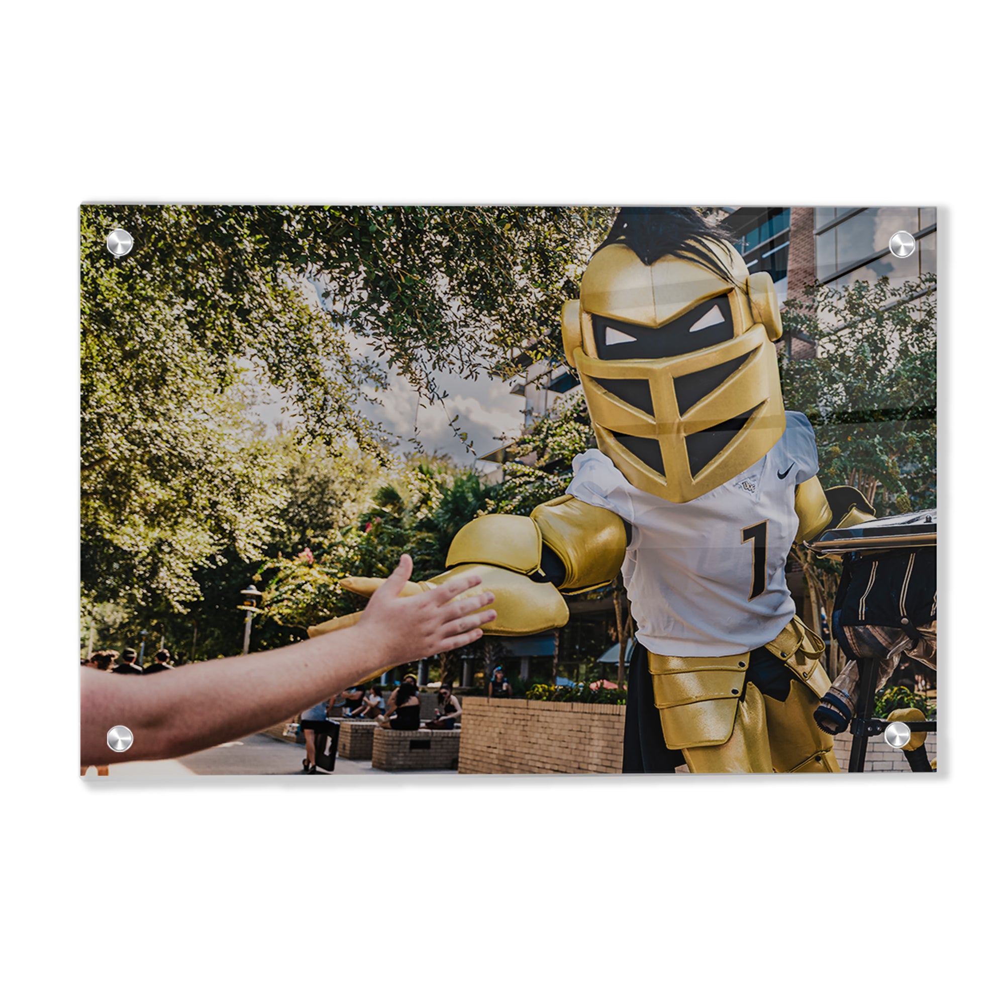 UCF Knights - Knightro Fan - College Wall Art #Canvas