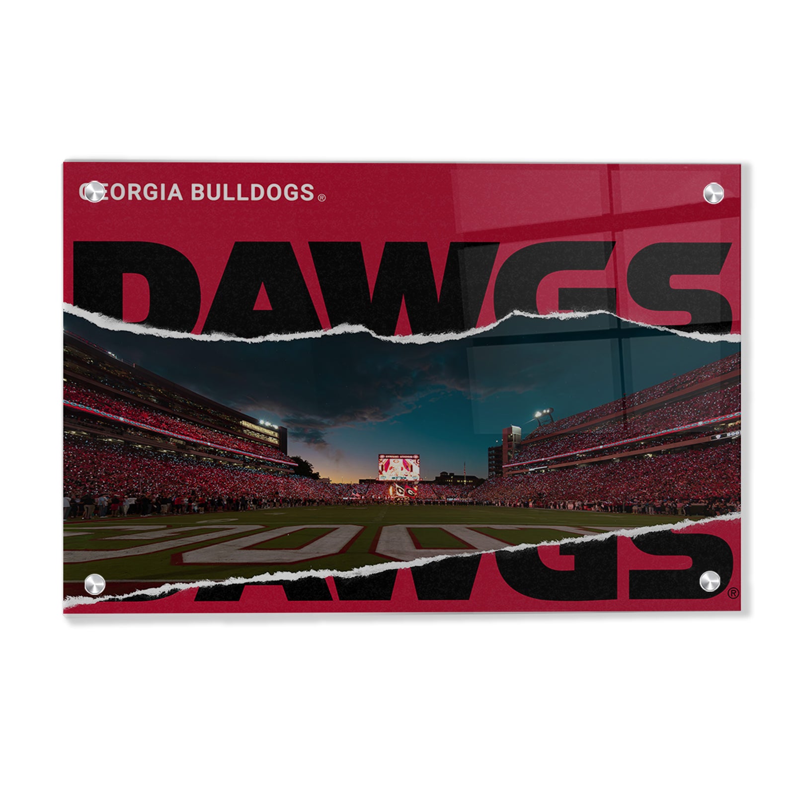 Georgia Bulldogs - Georgia Entering the Field - College Wall Art #Canvas