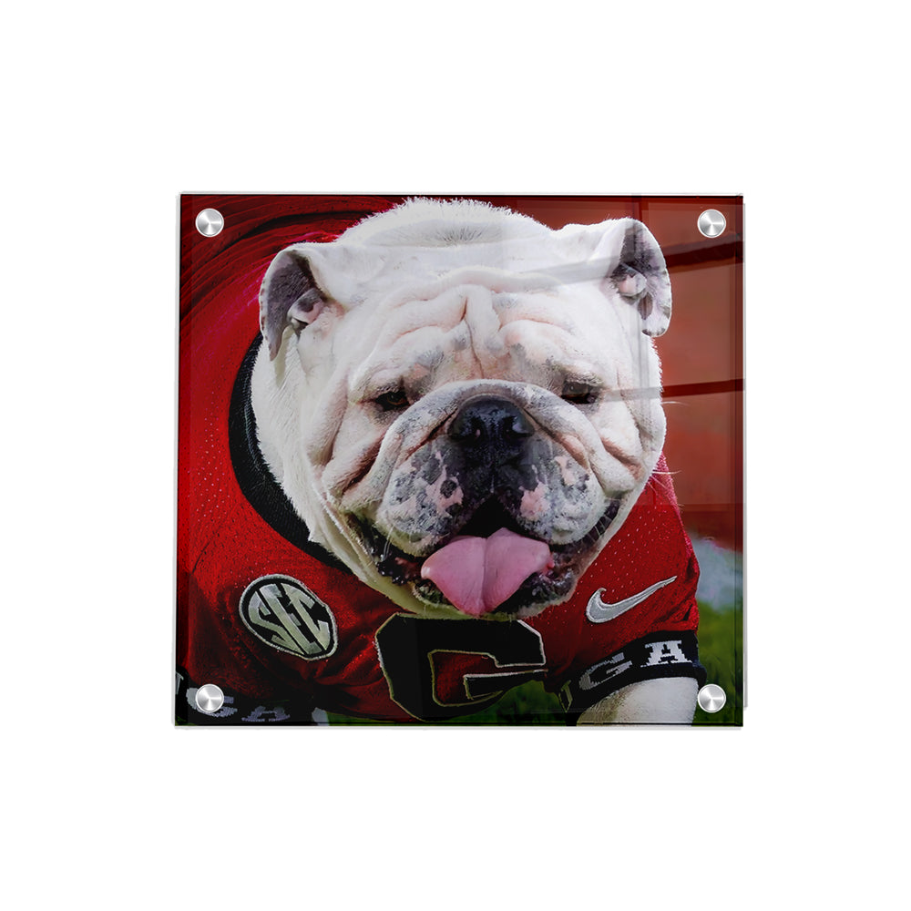   Georgia Bulldogs - Boom Close Up - College Wall Art #Canvas