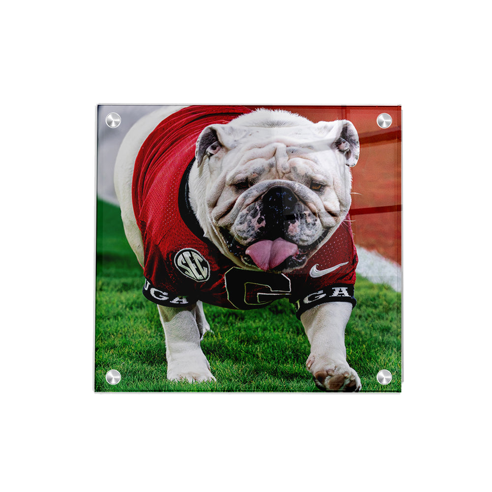 Georgia Bulldogs - Uga XI Boom - College Wall Art #Canvas