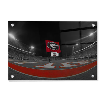 Georgia Bulldogs - Go Bulldogs - College Wall Art #Acrylic