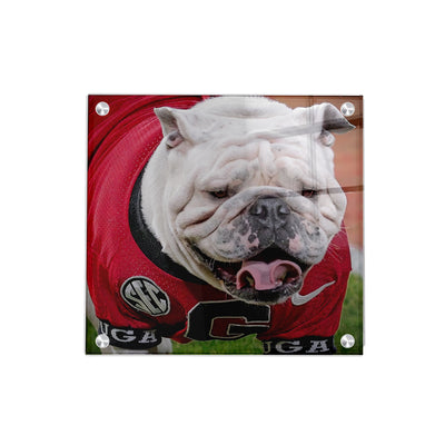 Georgia Bulldogs - Boom's Curled Tongue - College Wall Art #Acrylic