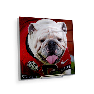 Georgia Bulldogs - Boom Close Up - College Wall Art #Acrylic Mini