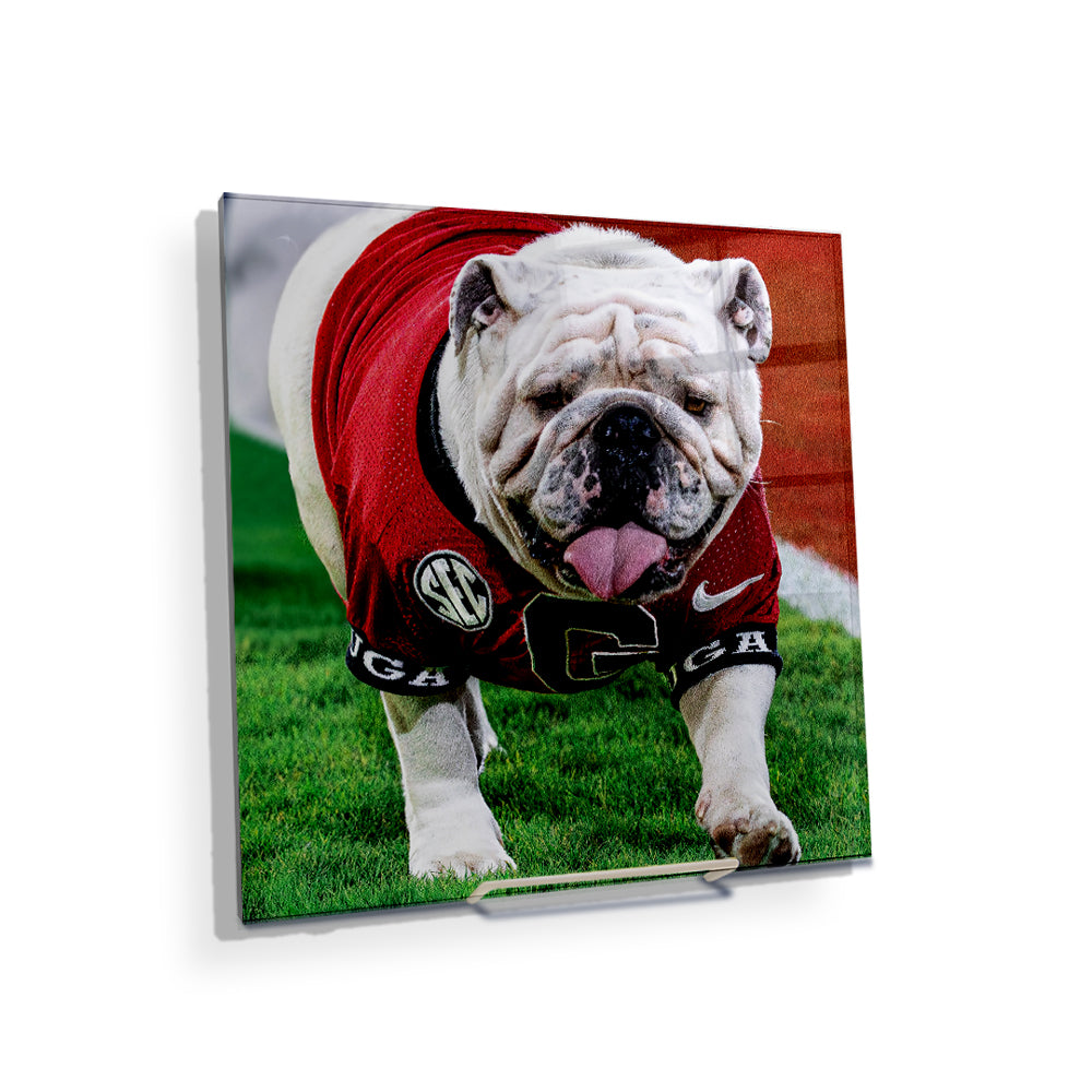 Georgia Bulldogs - Uga XI Boom - College Wall Art #Canvas