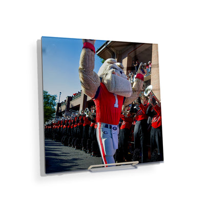 Georgia Bulldogs - Hairy Dawg Walk - College Wall Art #Acrylic Mini