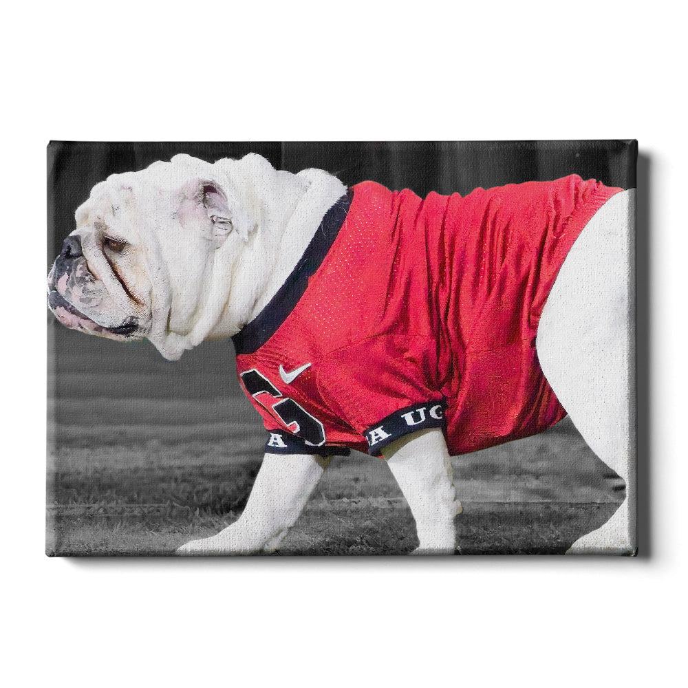 Georgia Bulldogs - Uga XI - College Wall Art #Canvas