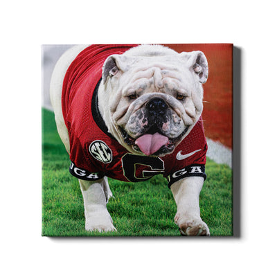 Georgia Bulldogs - Uga XI Boom - College Wall Art #Canvas