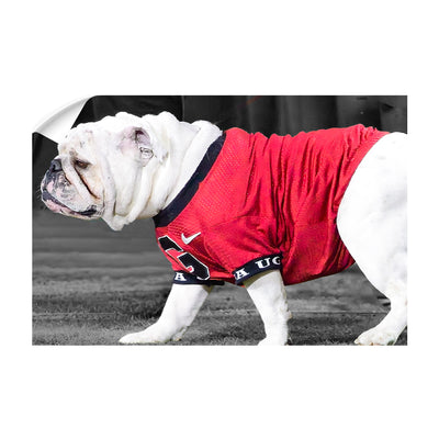 Georgia Bulldogs - Uga XI - College Wall Art #Wall Decal