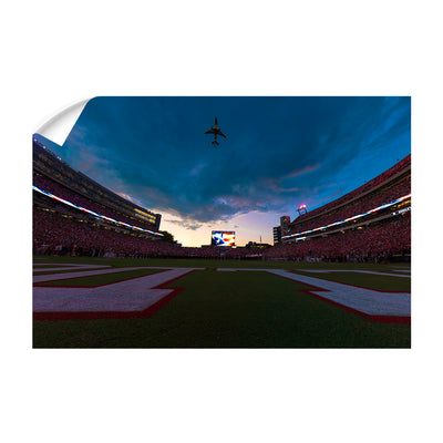 Georgia Bulldogs - Georgia Dawgs Flyover - College Wall Art #Wall Decal